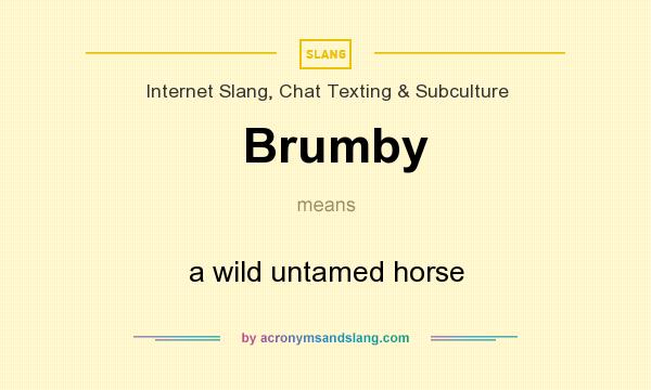 What does Brumby mean? It stands for a wild untamed horse