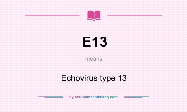 What does E13 mean? It stands for Echovirus type 13