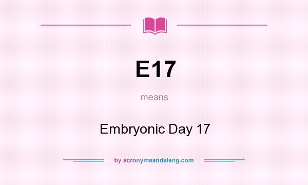 What does E17 mean? It stands for Embryonic Day 17