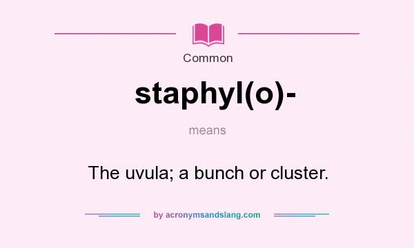 What does staphyl(o)- mean? It stands for The uvula; a bunch or cluster.