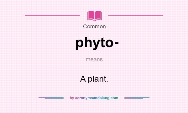 What does phyto- mean? It stands for A plant.