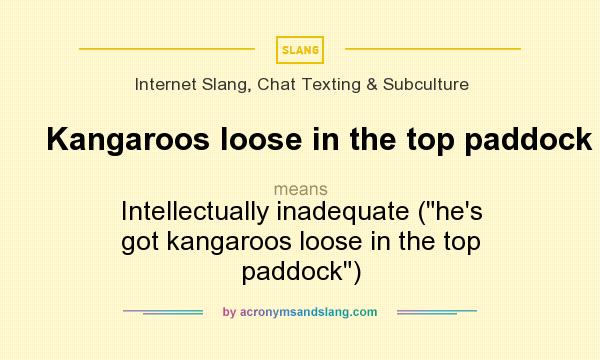 What does Kangaroos loose in the top paddock mean? It stands for Intellectually inadequate (he`s got kangaroos loose in the top paddock)