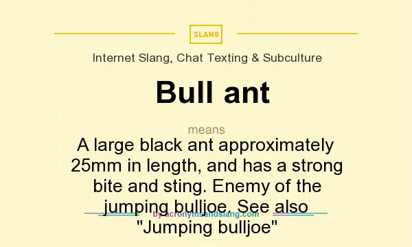 What does Bull ant mean? It stands for A large black ant approximately 25mm in length, and has a strong bite and sting. Enemy of the jumping bulljoe. See also 