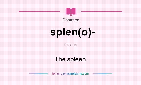 What does splen(o)- mean? It stands for The spleen.