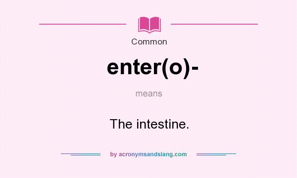 What does enter(o)- mean? It stands for The intestine.