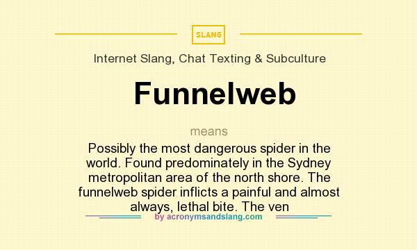 What does Funnelweb mean? It stands for Possibly the most dangerous spider in the world. Found predominately in the Sydney metropolitan area of the north shore. The funnelweb spider inflicts a painful and almost always, lethal bite. The ven