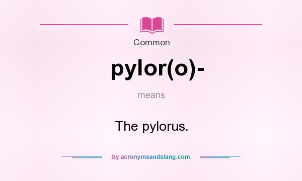 What does pylor(o)- mean? It stands for The pylorus.