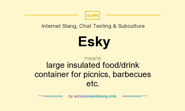 What does Esky mean? It stands for large insulated food/drink container for picnics, barbecues etc.