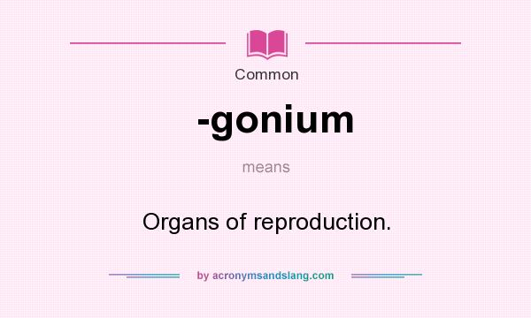 What does -gonium mean? It stands for Organs of reproduction.