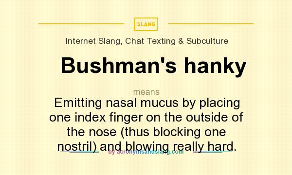 What does Bushman`s hanky mean? It stands for Emitting nasal mucus by placing one index finger on the outside of the nose (thus blocking one nostril) and blowing really hard.