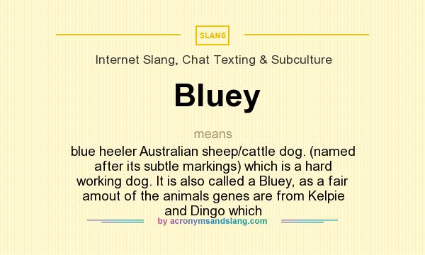 What does Bluey mean? It stands for blue heeler Australian sheep/cattle dog. (named after its subtle markings) which is a hard working dog. It is also called a Bluey, as a fair amout of the animals genes are from Kelpie and Dingo which