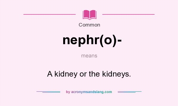 What does nephr(o)- mean? It stands for A kidney or the kidneys.
