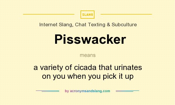 What does Pisswacker mean? It stands for a variety of cicada that urinates on you when you pick it up