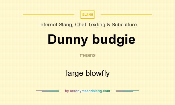 What does Dunny budgie mean? It stands for large blowfly