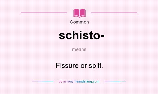 What does schisto- mean? It stands for Fissure or split.