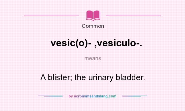 What does vesic(o)- ,vesiculo-. mean? It stands for A blister; the urinary bladder.