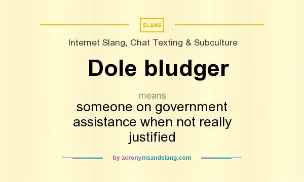 What does Dole bludger mean? It stands for someone on government assistance when not really justified