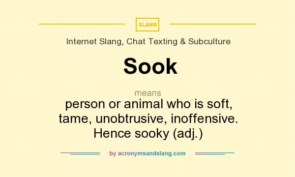 What does Sook mean? It stands for person or animal who is soft, tame, unobtrusive, inoffensive. Hence sooky (adj.)