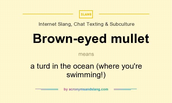 What does Brown-eyed mullet mean? It stands for a turd in the ocean (where you`re swimming!)