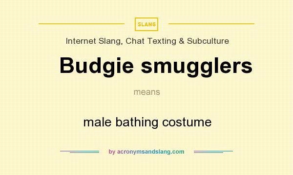 What does Budgie smugglers mean? It stands for male bathing costume