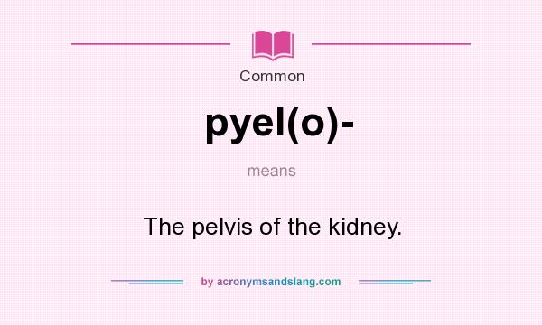What does pyel(o)- mean? It stands for The pelvis of the kidney.