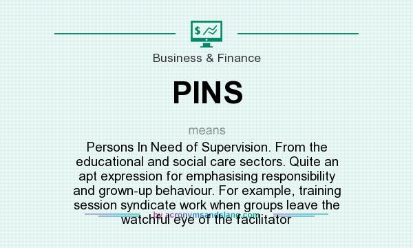 What does PINS mean? It stands for Persons In Need of Supervision. From the educational and social care sectors. Quite an apt expression for emphasising responsibility and grown-up behaviour. For example, training session syndicate work when groups leave the watchful eye of the facilitator
