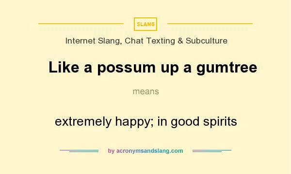 What does Like a possum up a gumtree mean? It stands for extremely happy; in good spirits