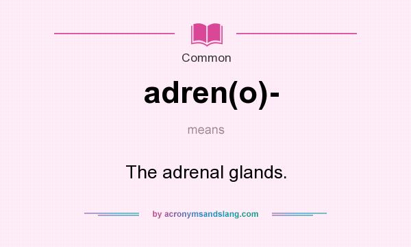 What does adren(o)- mean? It stands for The adrenal glands.