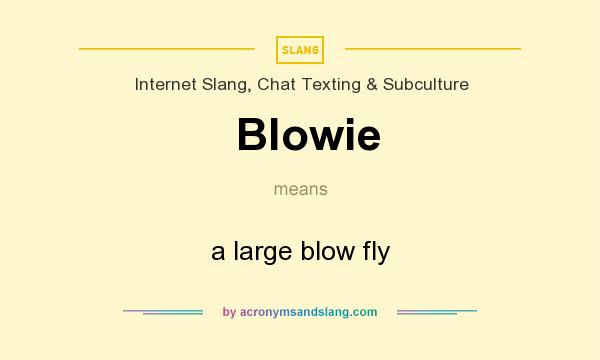What does Blowie mean? It stands for a large blow fly