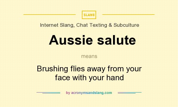 What does Aussie salute mean? It stands for Brushing flies away from your face with your hand
