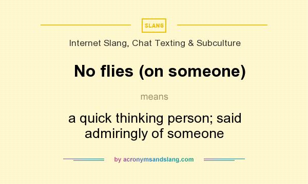 What does No flies (on someone) mean? It stands for a quick thinking person; said admiringly of someone