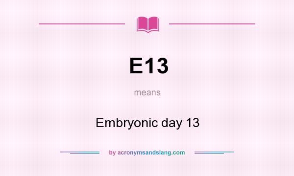 What does E13 mean? It stands for Embryonic day 13