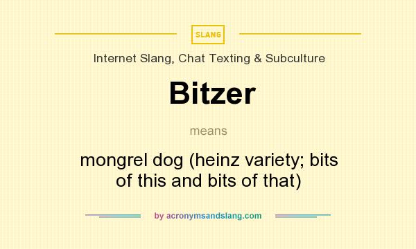 What does Bitzer mean? It stands for mongrel dog (heinz variety; bits of this and bits of that)