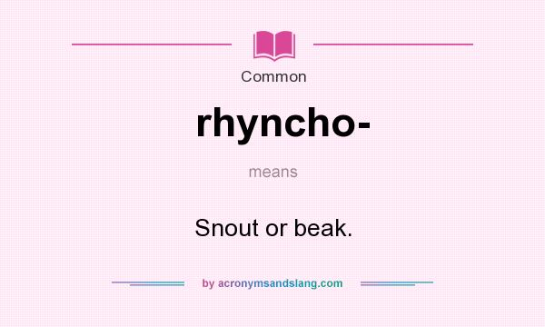 What does rhyncho- mean? It stands for Snout or beak.
