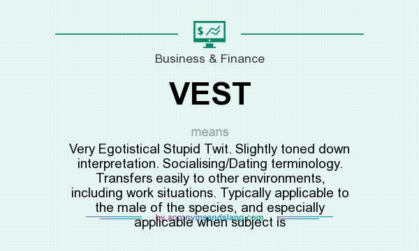 What does VEST mean? It stands for Very Egotistical Stupid Twit. Slightly toned down interpretation. Socialising/Dating terminology. Transfers easily to other environments, including work situations. Typically applicable to the male of the species, and especially applicable when subject is