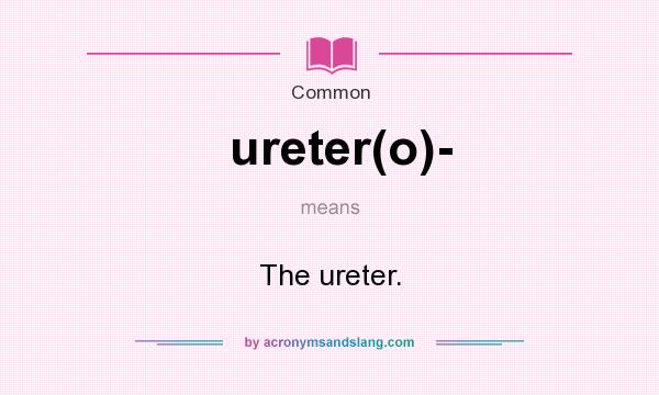 What does ureter(o)- mean? It stands for The ureter.