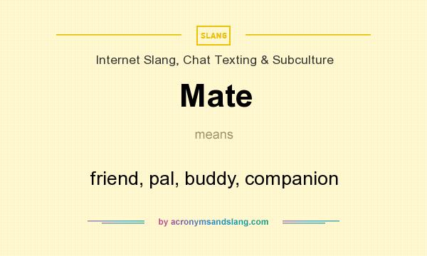 What does Mate mean? It stands for friend, pal, buddy, companion