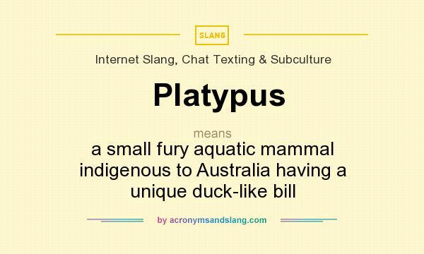 What does Platypus mean? It stands for a small fury aquatic mammal indigenous to Australia having a unique duck-like bill