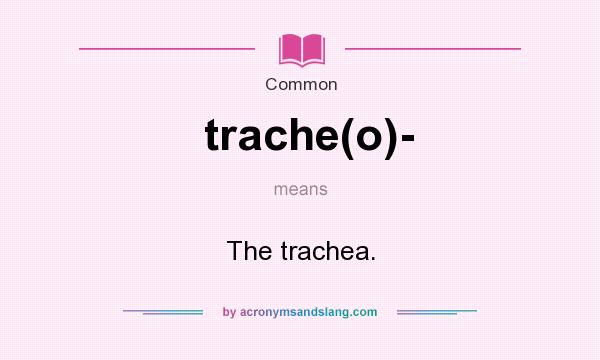 What does trache(o)- mean? It stands for The trachea.
