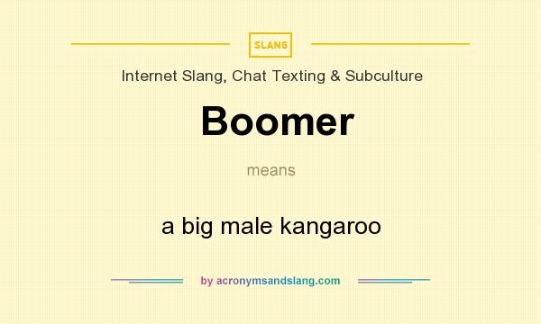 What does Boomer mean? It stands for a big male kangaroo