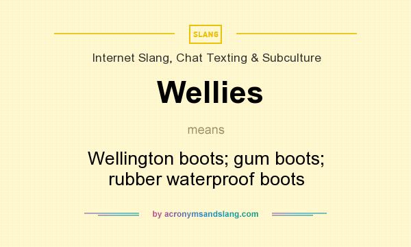 What does Wellies mean? It stands for Wellington boots; gum boots; rubber waterproof boots