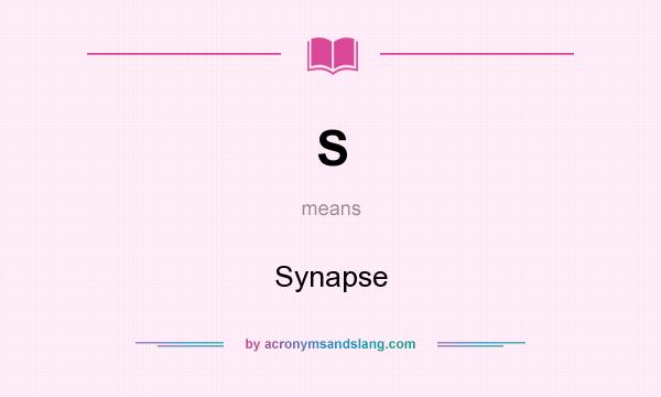 What does S mean? It stands for Synapse