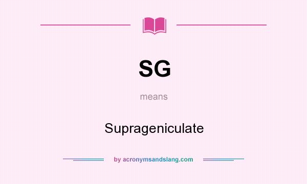 What does SG mean? It stands for Suprageniculate