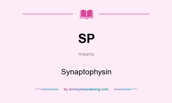 What does SP mean? It stands for Synaptophysin