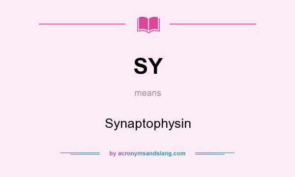 What does SY mean? It stands for Synaptophysin