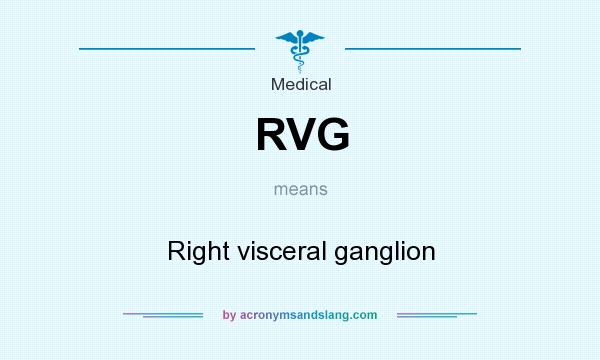 What does RVG mean? It stands for Right visceral ganglion