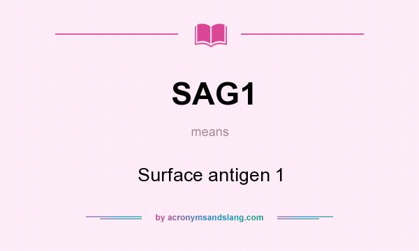 What does SAG1 mean? It stands for Surface antigen 1