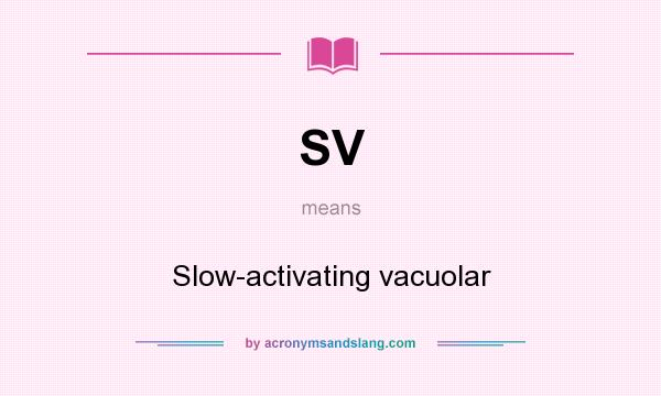 What does SV mean? It stands for Slow-activating vacuolar