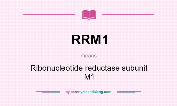 What does RRM1 mean? It stands for Ribonucleotide reductase subunit M1