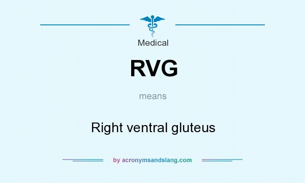 What does RVG mean? It stands for Right ventral gluteus